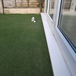 Putting Green and Putting Cup